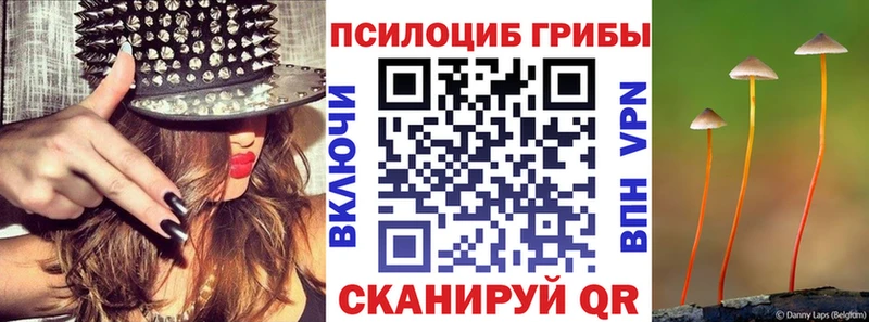 купить наркотики сайты  Гусь-Хрустальный  Галлюциногенные грибы ЛСД 